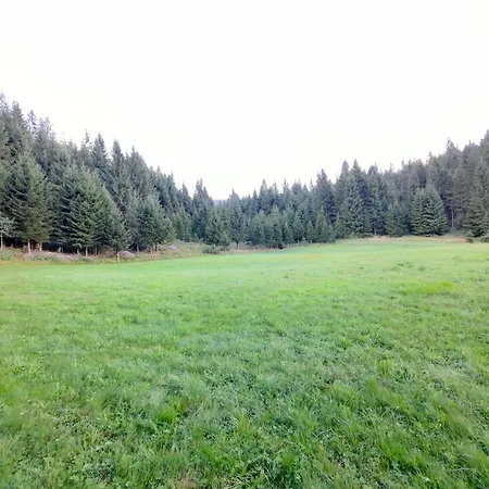 Apartma Draga
