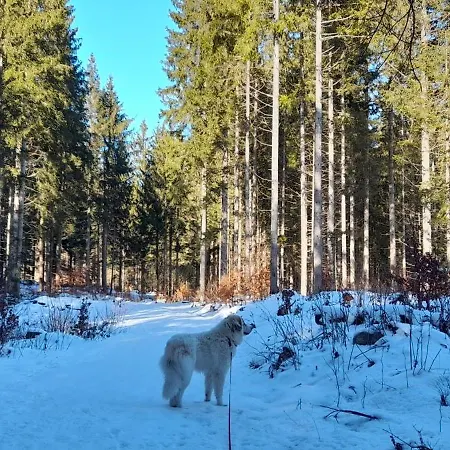 아파트 Apartma Draga
