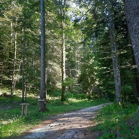 Apartma Draga